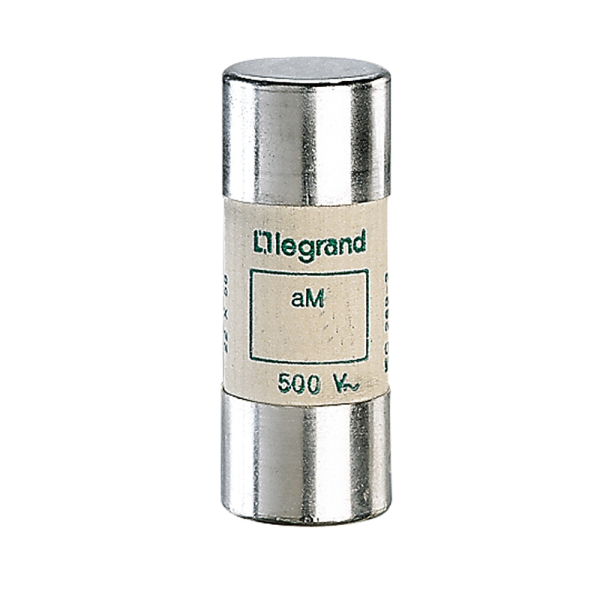 015097 Стопяем цилиндричен предпазител тип aM 125A 22x58мм LEGRAND