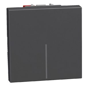 Девиаторен ключ 2 модул цвят Графит Light Now Bticino