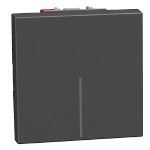 Бутон 2 модул цвят Графит Light Now Bticino